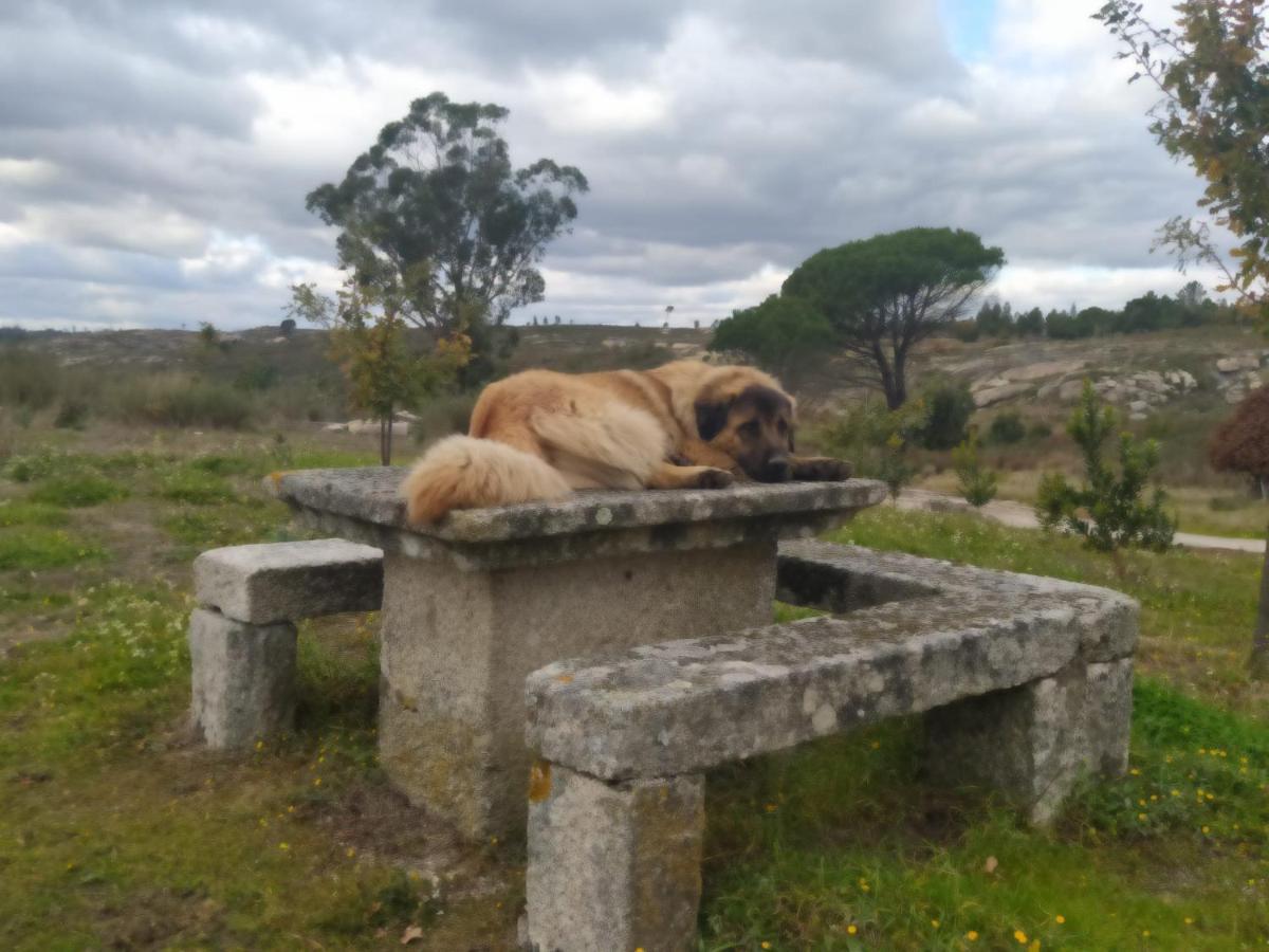 Travancinha Quinta Da Lua Nova Bed & Breakfast エクステリア 写真