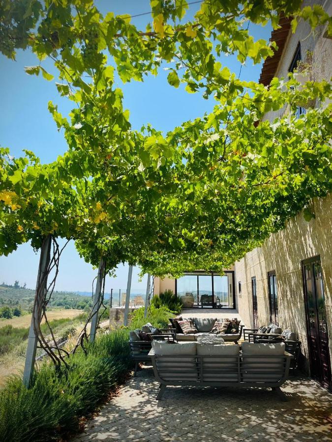 Travancinha Quinta Da Lua Nova Bed & Breakfast エクステリア 写真