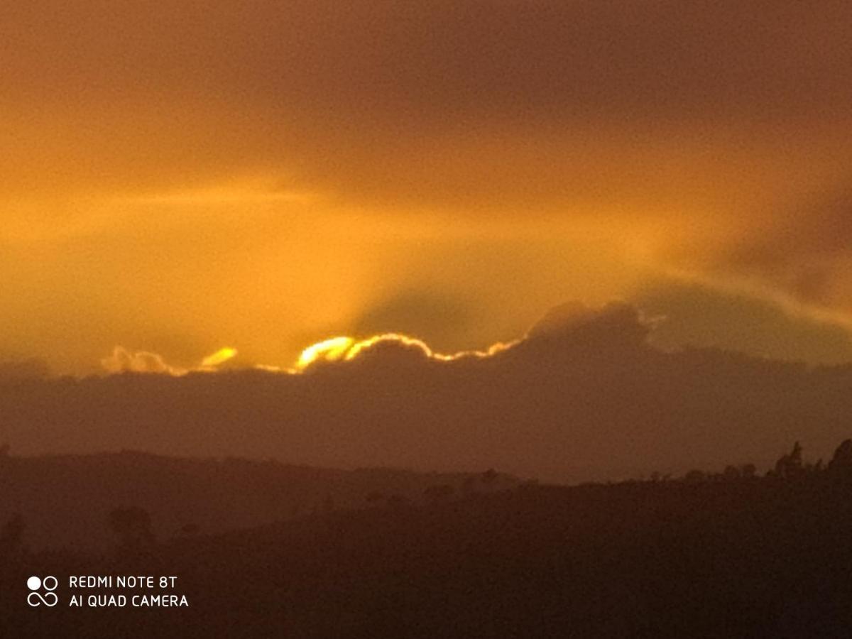 Travancinha Quinta Da Lua Nova Bed & Breakfast エクステリア 写真